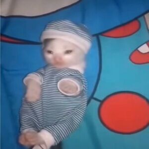 Meet your Posher, Taylor